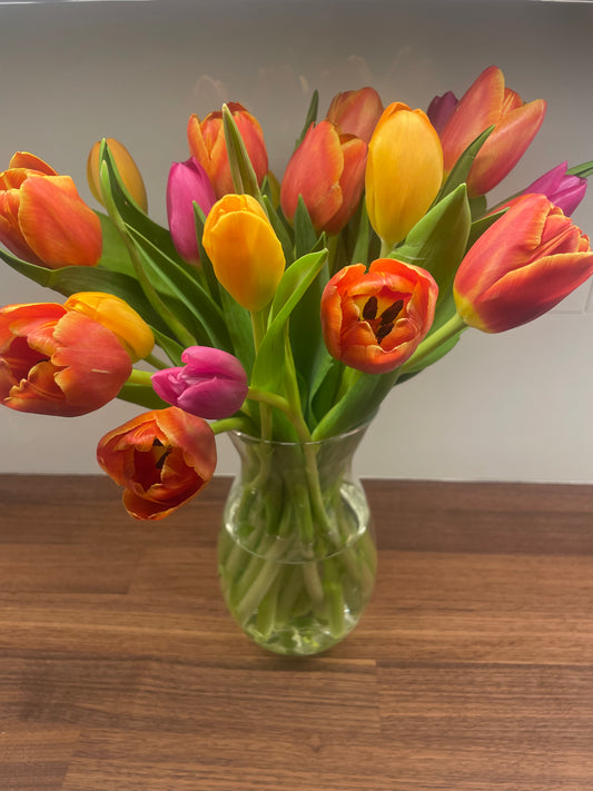 Tulip Arrangement