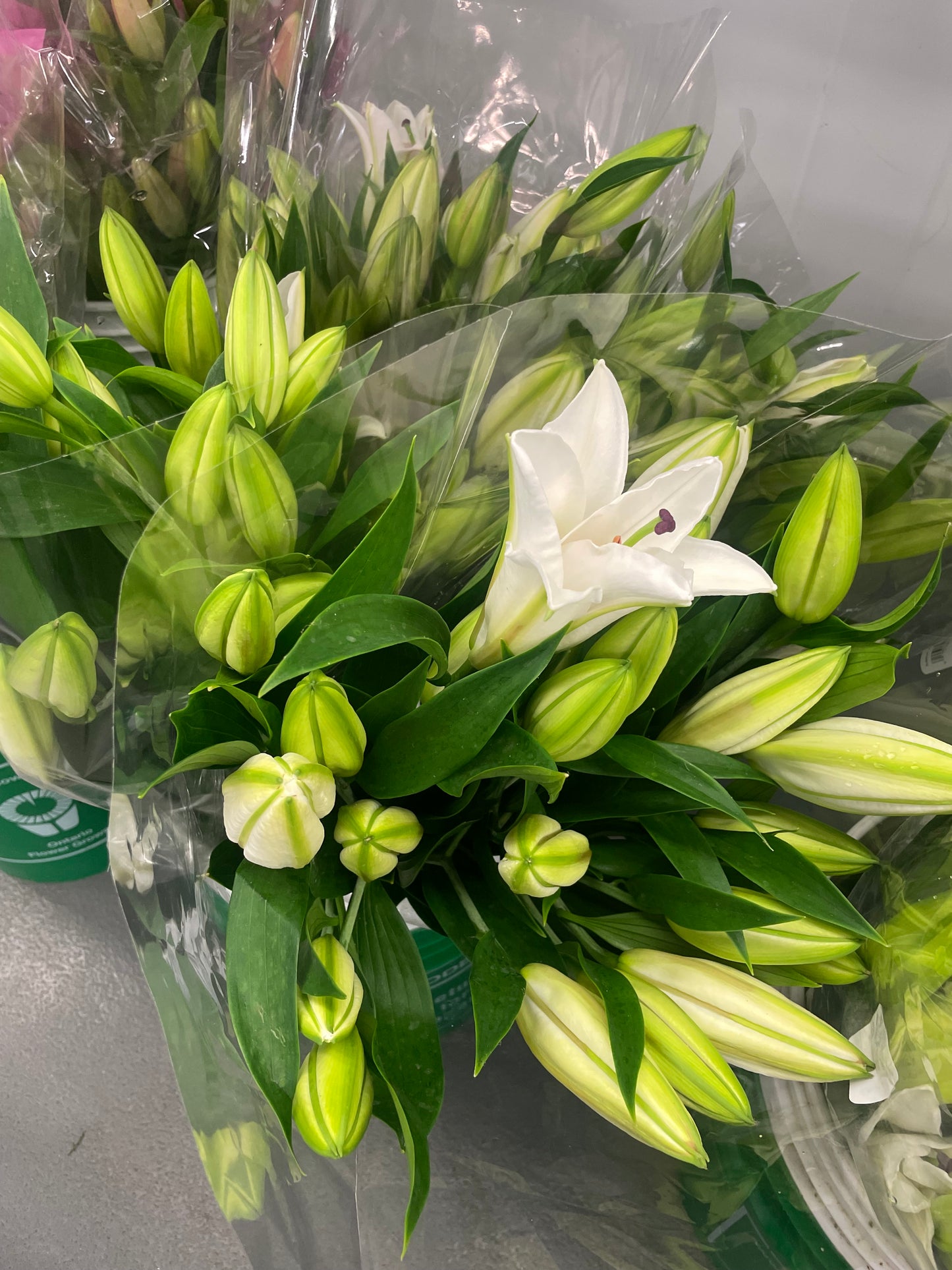 Luxury Lily Bouquet